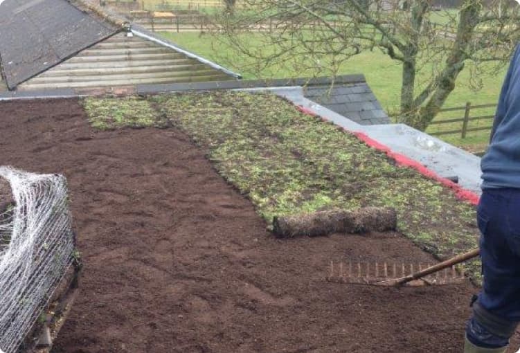 installing wildflower turf on green roof
